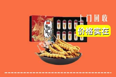 呼兰区回收虫草